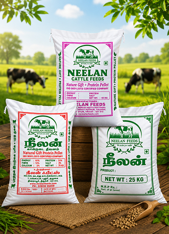 Best Cumin Powder Exporters in Chennai